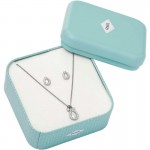 Buy Fossil Womens Necklace and Earrings Classics JF03765040