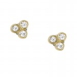 Image of Fossil Ladies Earrings Sadie JF04110710