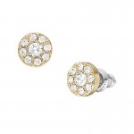 Orecchini Fossil Jewelry da donna JF04375710 Immagine degli Orecchini Fossil Jewelry da donna JF04375710