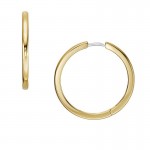 Bild von Fossil Jewelry - Creolen für Damen - JF04638710